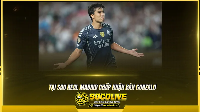 Tại sao Real Madrid chấp nhận bán Gonzalo Tại sao Real Madrid chấp nhận bán Gonzalo