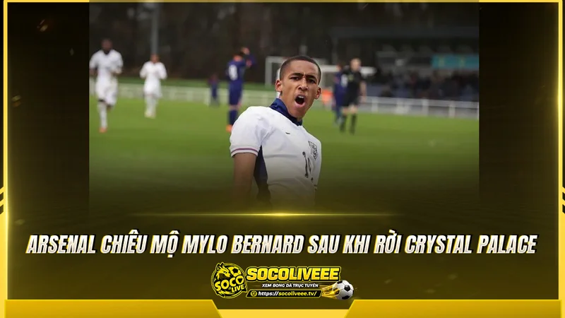Arsenal chiêu mộ Mylo Bernard sau khi rời Crystal Palace