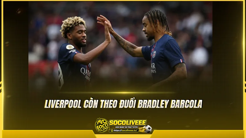 Liverpool còn theo đuổi Bradley Barcola Liverpool còn theo đuổi Bradley Barcola