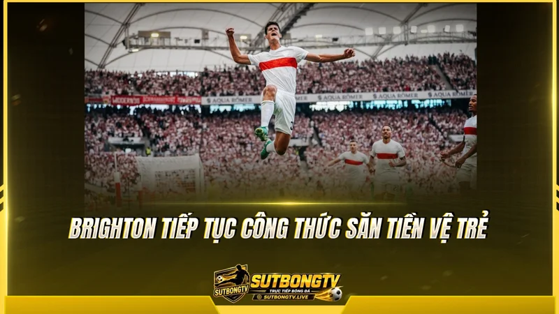 Brighton tiếp tục công thức săn tiền vệ trẻ Brighton tiếp tục công thức săn tiền vệ trẻ